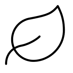 Eco-Friendly Practices